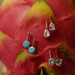 Jewelry earrings displayed on a dragon fruit