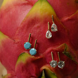 Jewelry earrings displayed on a dragon fruit