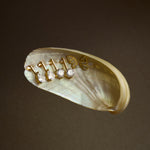 Gold ring with diamonds on a shell against a dark background