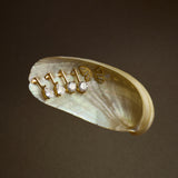 Gold ring with diamonds on a shell against a dark background
