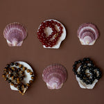 Seashells with beads on a brown background