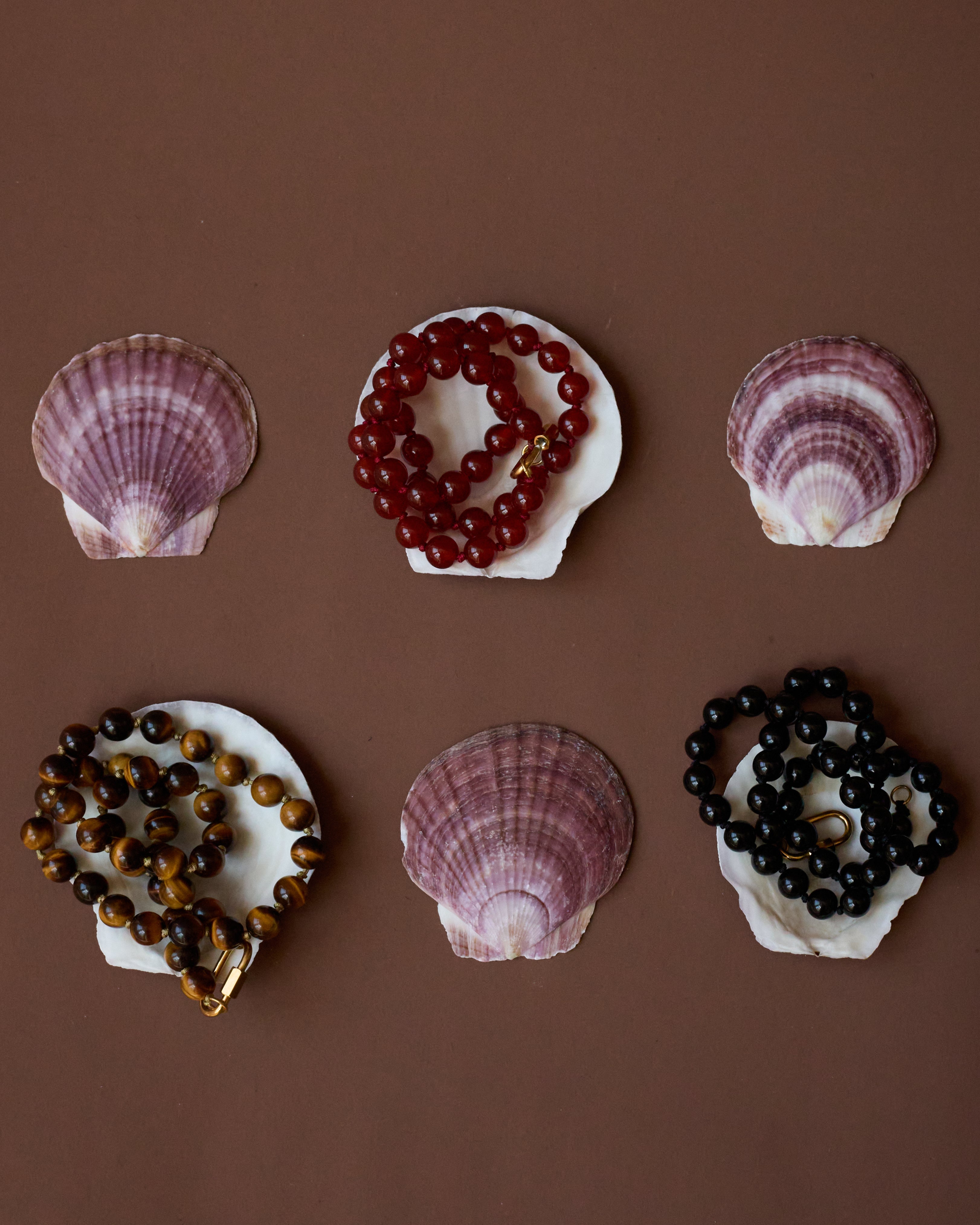 Seashells with beads on a brown background