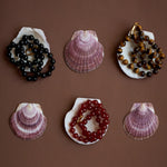 Seashells with beads on a brown background