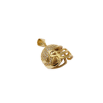 Slide image